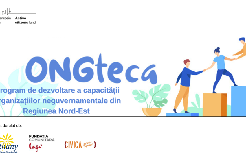  Investiții în dezvoltarea sectorului ONG din Regiunea de Nord-Est prin proiectul ONGteca