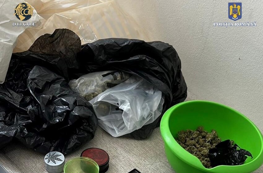  Traficanti de droguri din judetul Iasi prinsi in flagrant in cursul unei actiuni organizate de politistii BCCO Iasi impreuna cu procurorii DIICOT Iasi