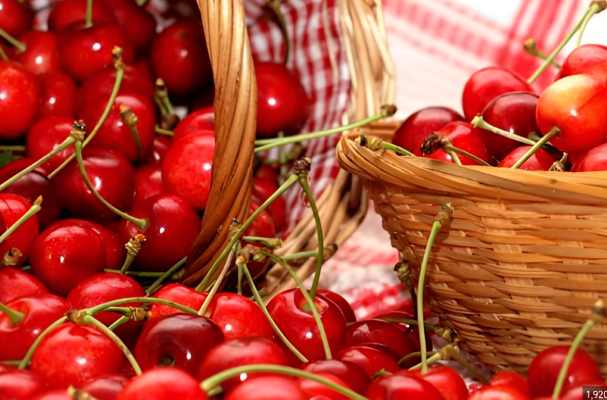  Sărbătoarea Cireșelor va avea loc in acest weekend pe pietonalul Ștefan cel Mare