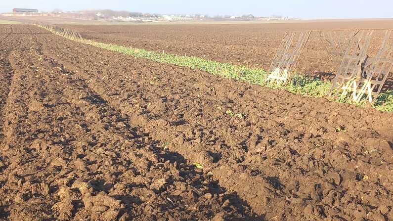  Hotii au furat 40 de panouri parazapezi amplasate pe raza localitatii Razboieni