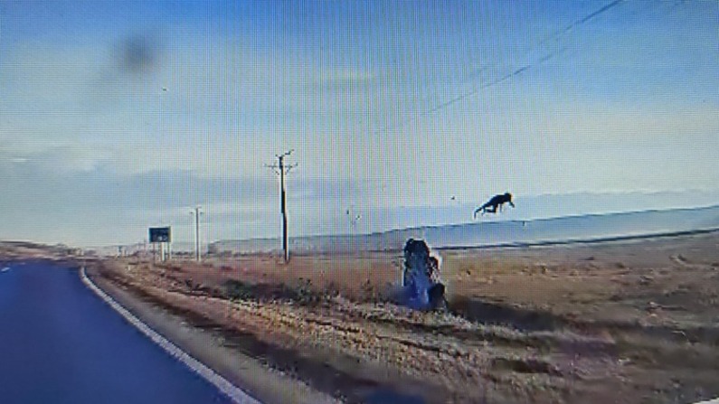  Un tanar de 18 ani a zburat cativa zeci de metri in aer dupa ce masina pe care o conducea s-a rasturnat in afara soselei