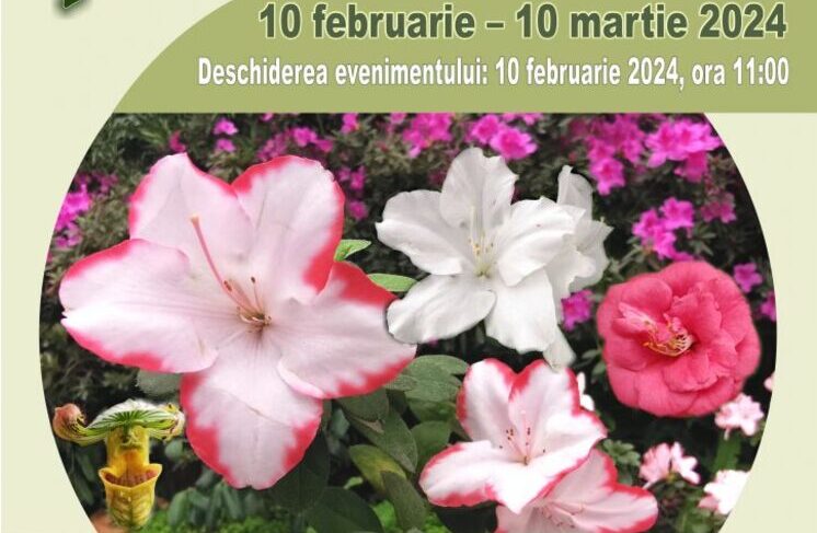  Expoziţie de plante exotice la Gradina Botanică din Iaşi