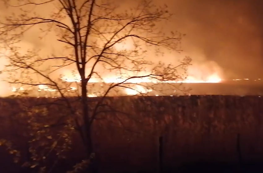  Incendiu urias de vegetatie noaptea trecuta in localitatea Sarca