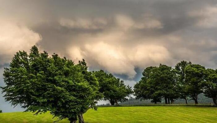  Judetul Iasi – sub cod GALBEN de vant puternic