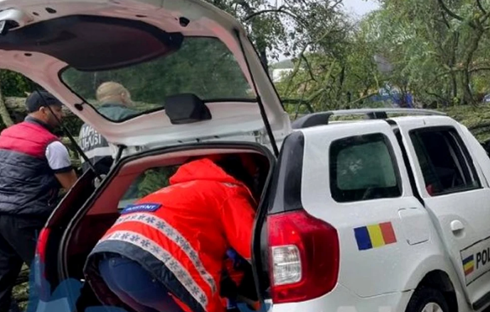  Un copac a căzut peste o masina a Politiei Locale
