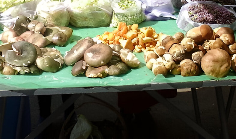  Trei frati s-au intoxicat dupa ce au mancat ciuperci cumparate din Piata Nicolina