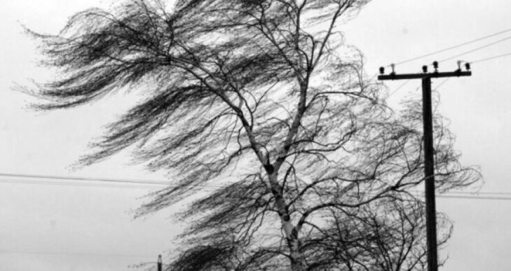  Avertizare meteo: Judetul Iasi sub cod GALBEN de intensificari ale vantului