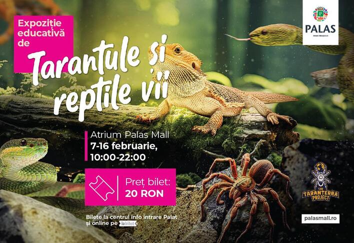 „Expoziția Educativă de Tarantule și Reptile Vii” revine la Palas cu exemplare noi și spectaculoase!
