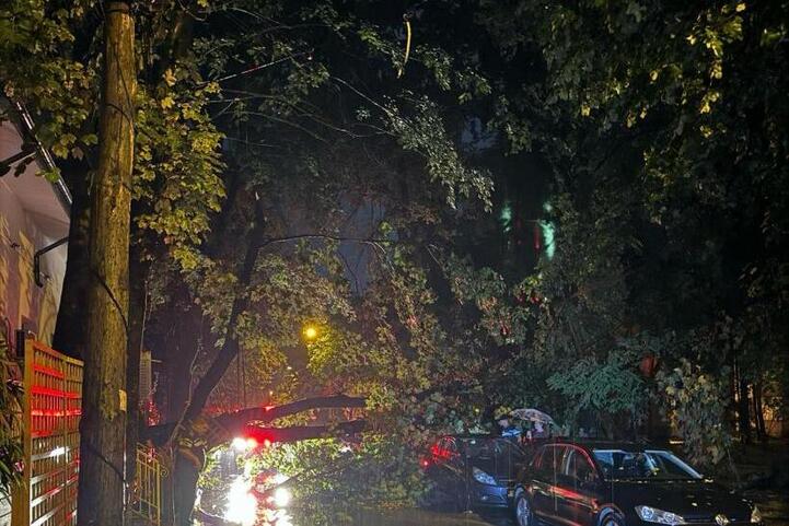 Arbori căzuți peste mașini și pagube însemnate după furtună puternică!