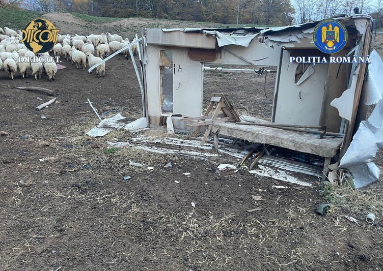  Muncă forțată, abuz și umilință într-un sat din Iasi: doi bărbați din Iași, cercetați pentru exploatarea unor persoane vulnerabile