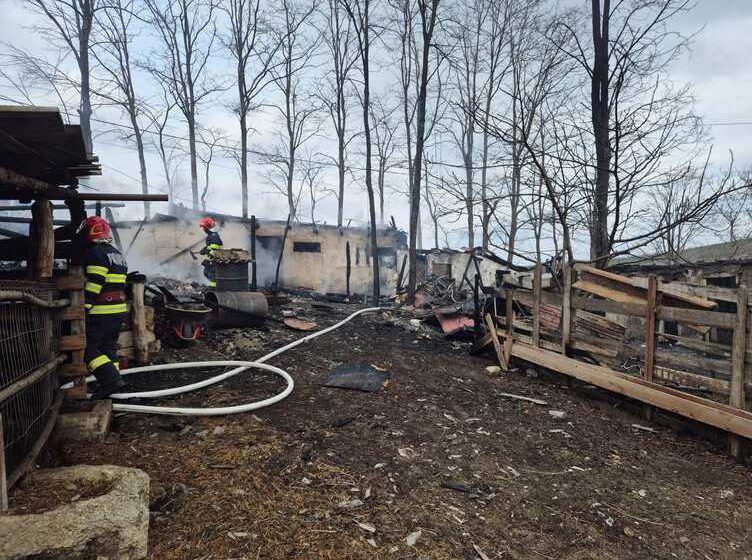  Incendiu devastator în Miroslava: pompierii luptă cu flăcările