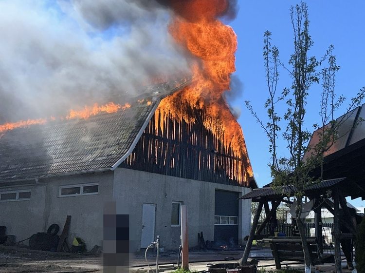  O femeie a fost transportată de urgență la spital cu arsuri grave după un incendiu izbucnit în această după-amiază