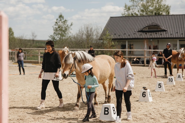  Cum conduci fără să dai ordine? Un program de învățare cu caii, lansat la Iași