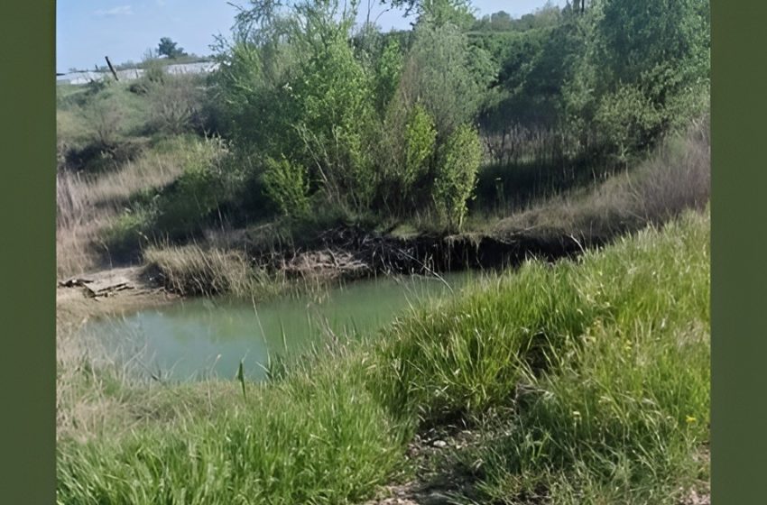  Un băiețel de 4 ani, găsit mort într-o baltă după o oră de căutări! Mama lui l-a lăsat doar o clipă din ochi