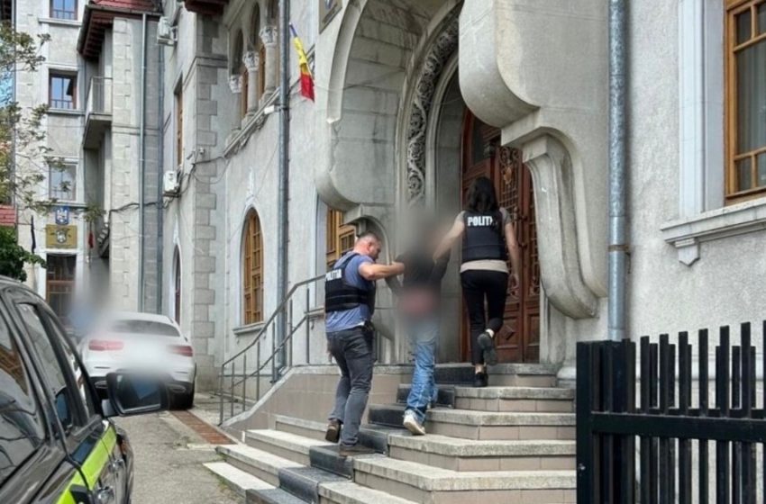  Caz șocant la Iași: câine înecat în Bahlui, suspect plasat sub control judiciar