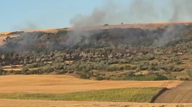  Incendiu de vegetație uscată izbucnit în comuna Țibănești
