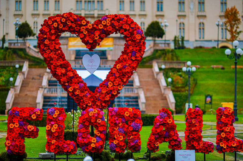  Florall – Festivalul Artei Florale revine în Grădina Palas. Peste 23 de instalații din flori naturale, teatru, concerte și surprize pentru întreaga familie